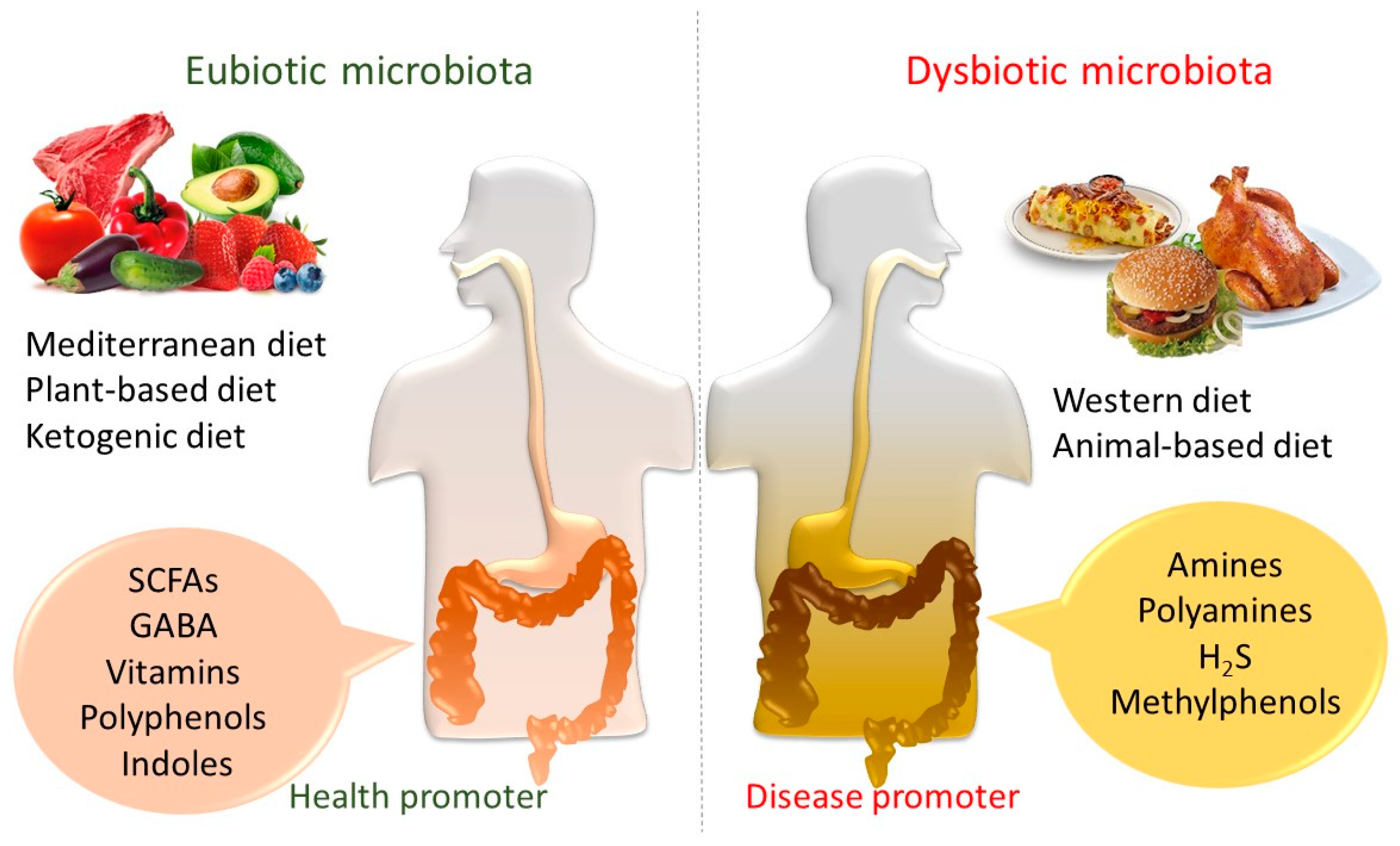 Functional gut-friendly snacks with synbiotics and enzymes