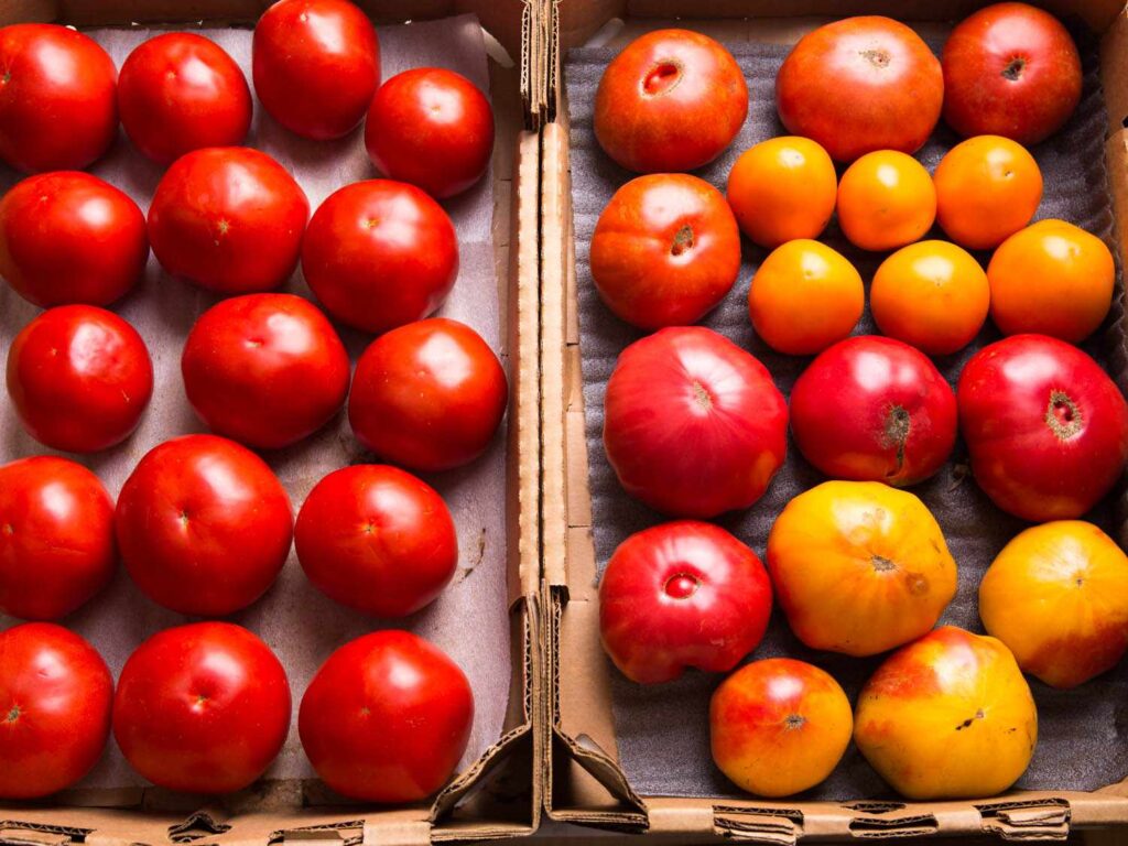 Tomatoes stored at room temperature until ripe, then briefly refrigerated.